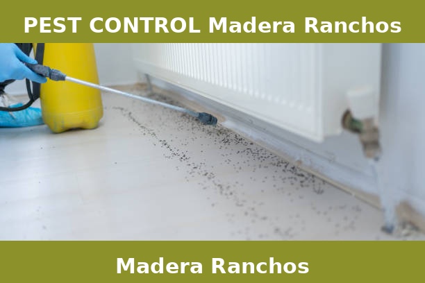 PEST CONTROL Madera Ranchos